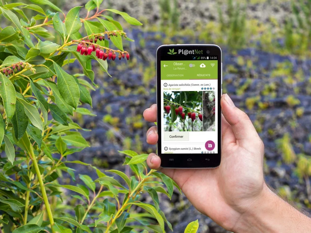 PlantNet - App para identificar plantas